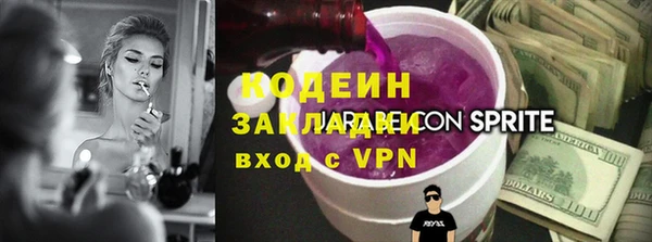 гашик Алексин