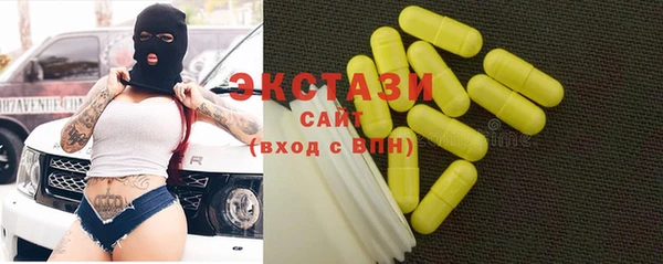 гашик Алексин
