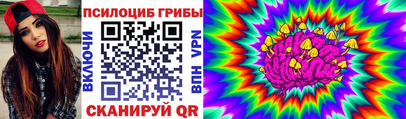Галлюциногенные грибы ЛСД  Купить где  Рошаль 